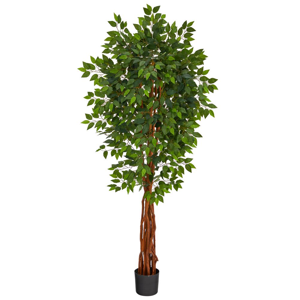 6.5ft. Super Deluxe Ficus Artificial Tree with Natural Trunk. Picture 1
