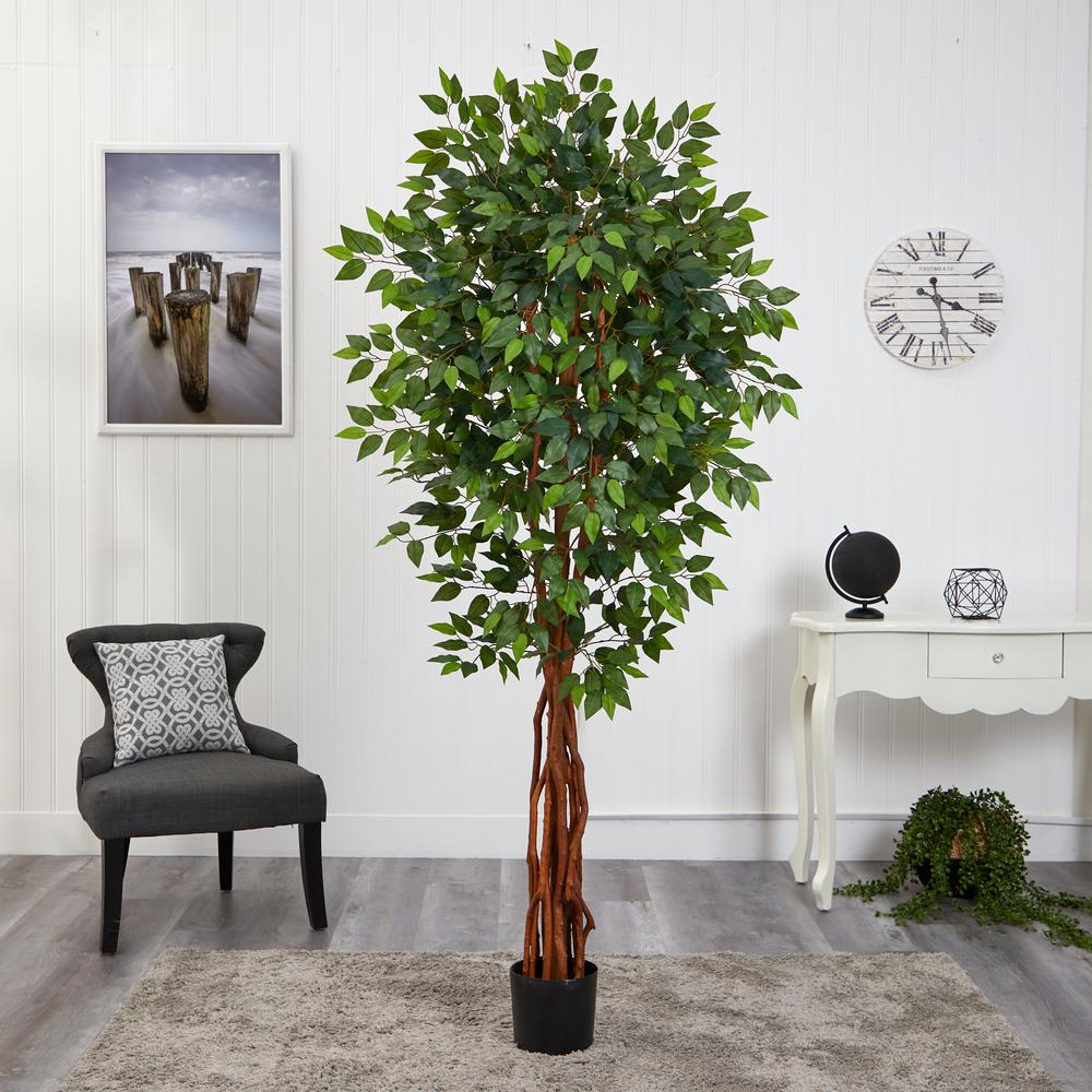 6.5ft. Super Deluxe Ficus Artificial Tree with Natural Trunk. Picture 4