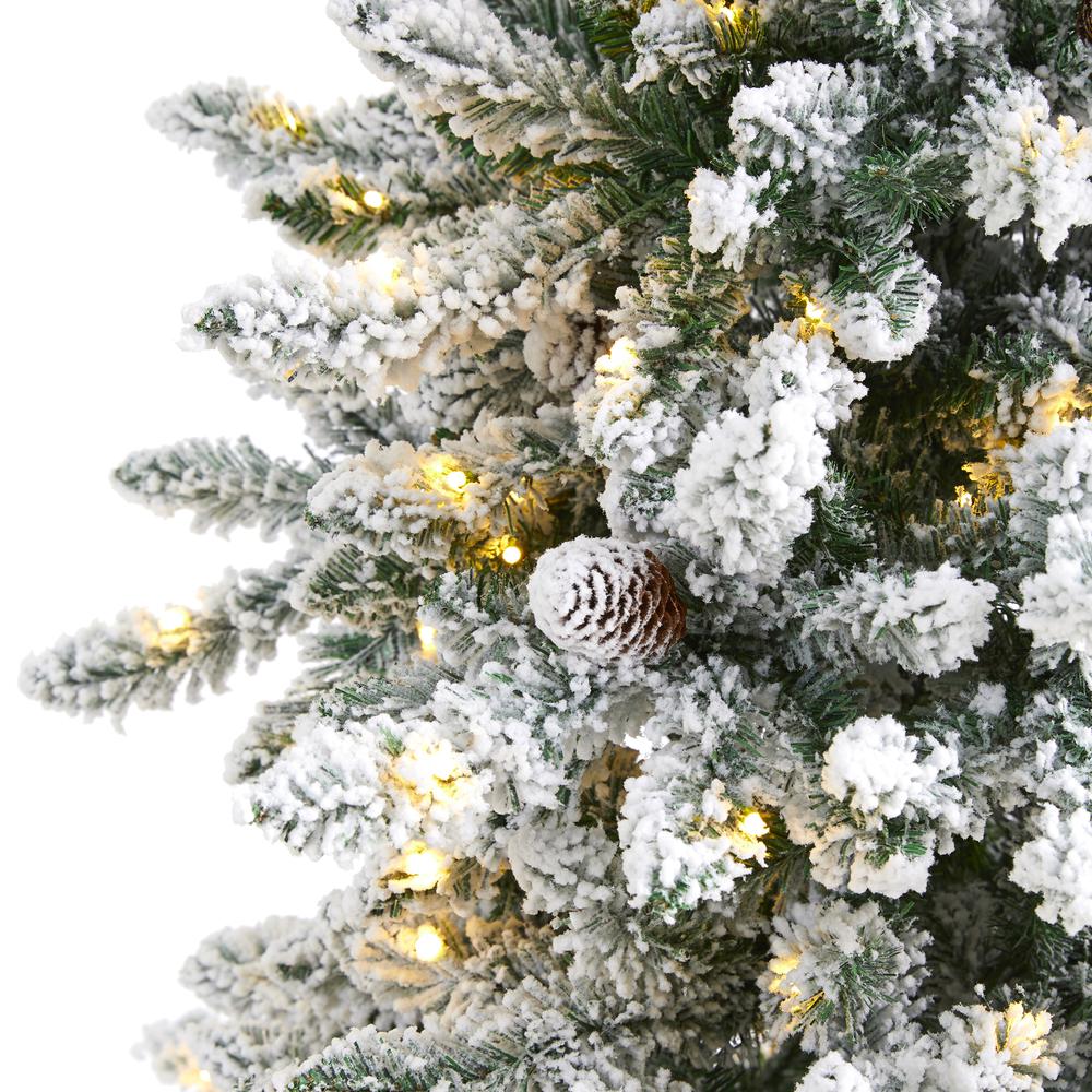 6ft. Flocked Livingston Fir Artificial Christmas Tree with Pine Cones and 300 Clear Warm LED Lights. Picture 3
