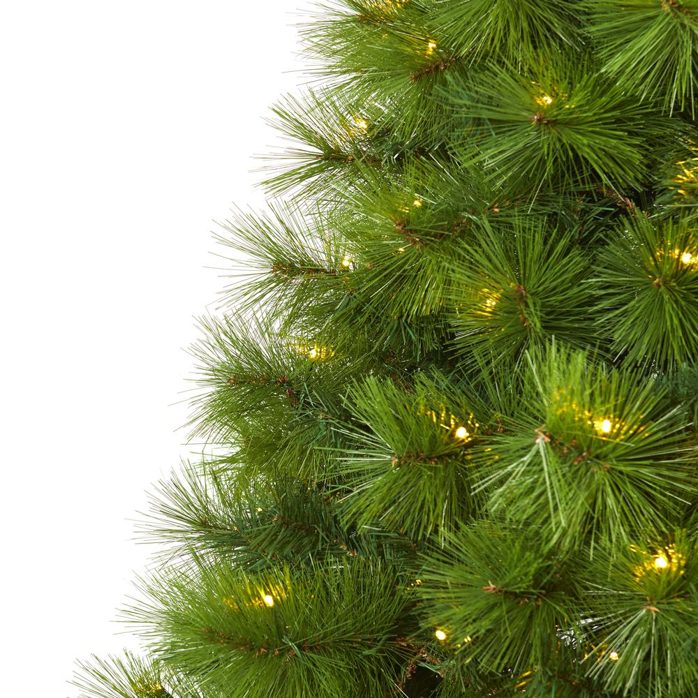 6ft. Green Scotch Pine Artificial Christmas Tree with 300 Clear LED Lights. Picture 3