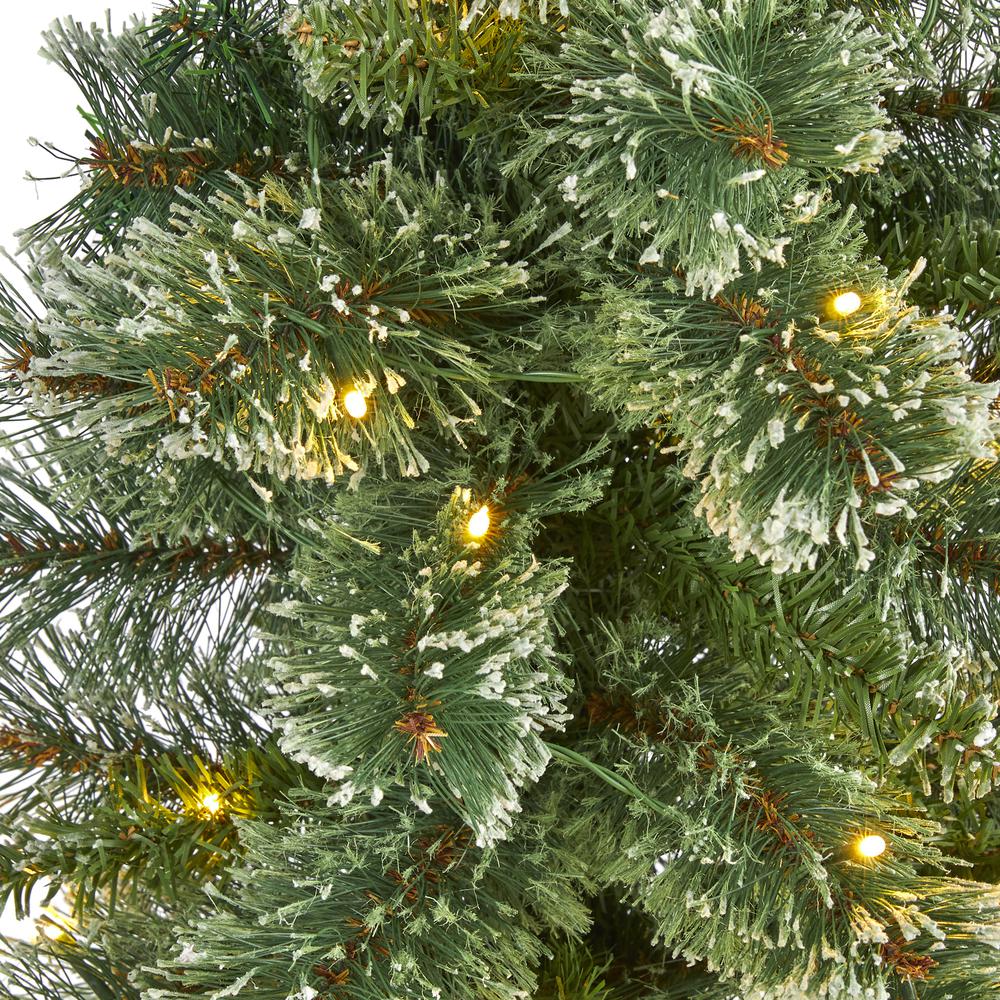 3ft. Wisconsin Slim Snow Tip Pine Artificial Christmas Tree with 50 Clear LED Lights. Picture 3