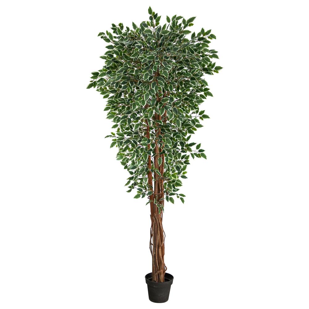 70in. Variegated Ficus Artificial Tree UV Resistant (Indoor/Outdoor). Picture 1