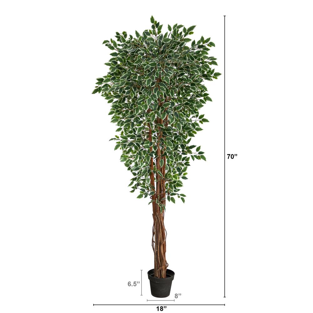 70in. Variegated Ficus Artificial Tree UV Resistant (Indoor/Outdoor). Picture 5