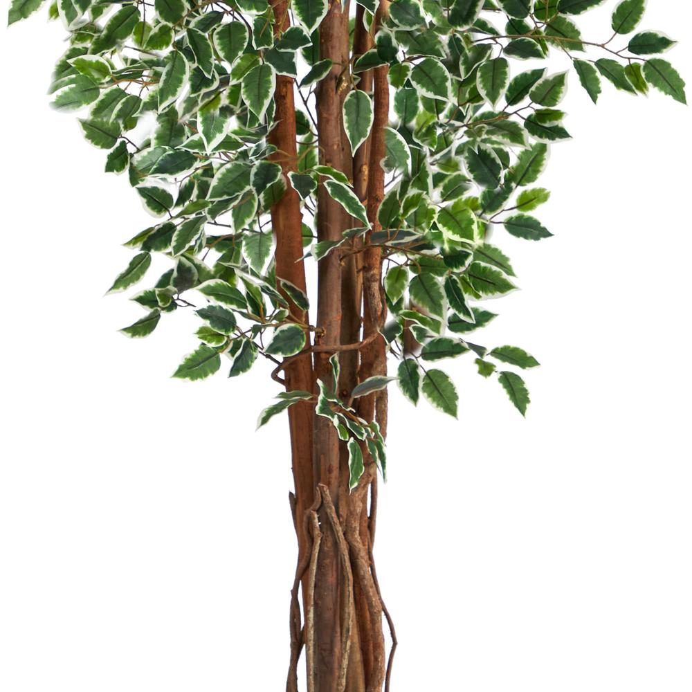 70in. Variegated Ficus Artificial Tree UV Resistant (Indoor/Outdoor). Picture 2