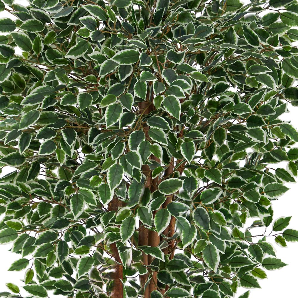 70in. Variegated Ficus Artificial Tree UV Resistant (Indoor/Outdoor). Picture 3