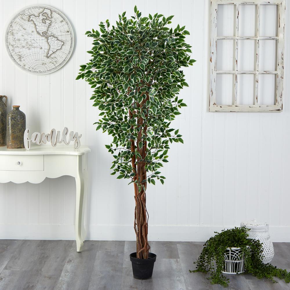 70in. Variegated Ficus Artificial Tree UV Resistant (Indoor/Outdoor). Picture 4
