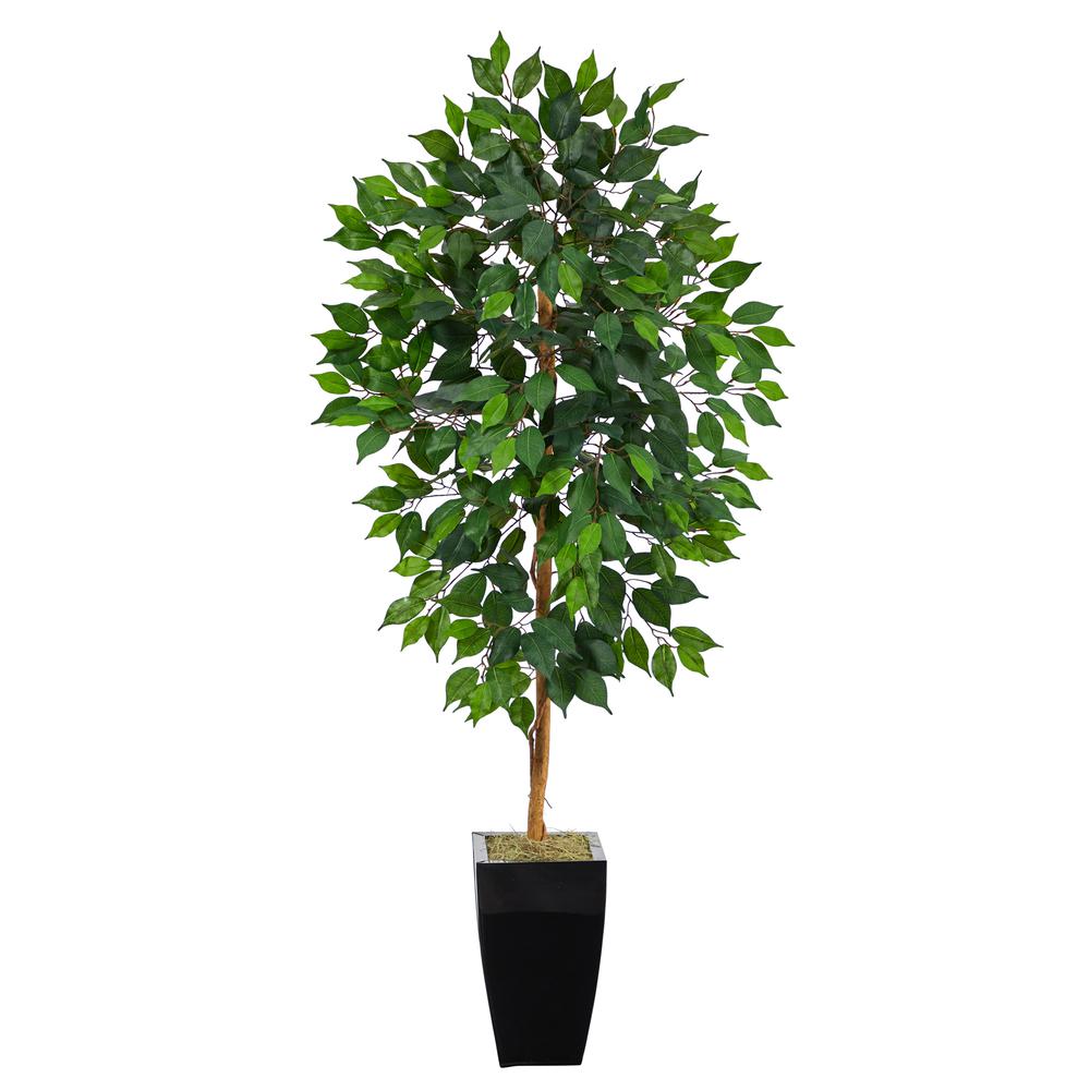 4.5ft. Ficus Artificial Tree in Black Metal Planter. Picture 1
