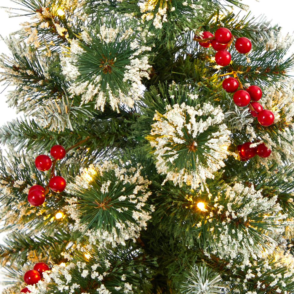 50in. Frosted Swiss Pine Artificial Christmas Tree with 100 Clear LED Lights and Berries in White Planter. Picture 3