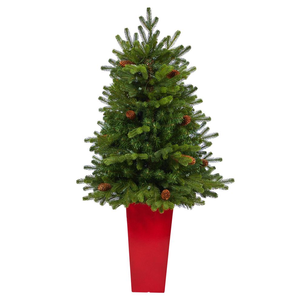 3.5ft. Yukon Mountain Fir Artificial Christmas Tree with 50 Clear Lights. Picture 3