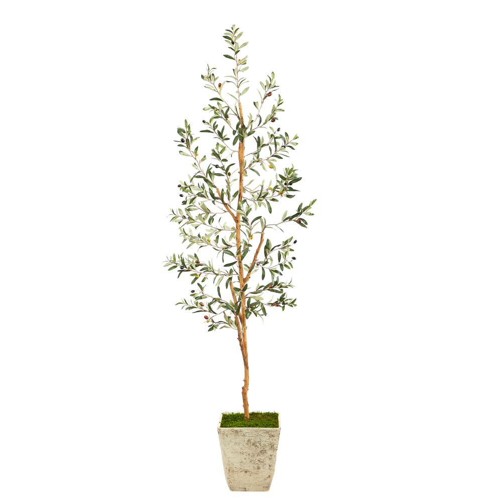 70in. Olive Artificial Tree in Country White Planter. Picture 1