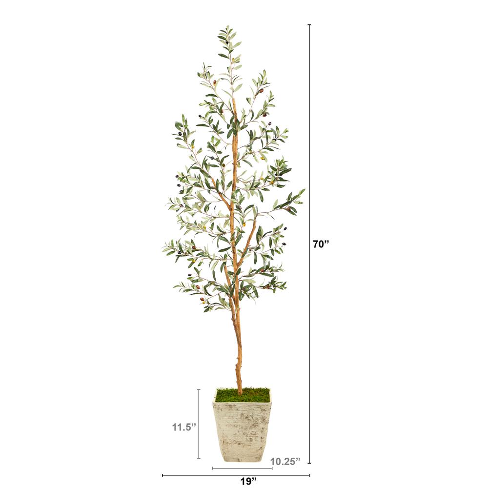 70in. Olive Artificial Tree in Country White Planter. Picture 2