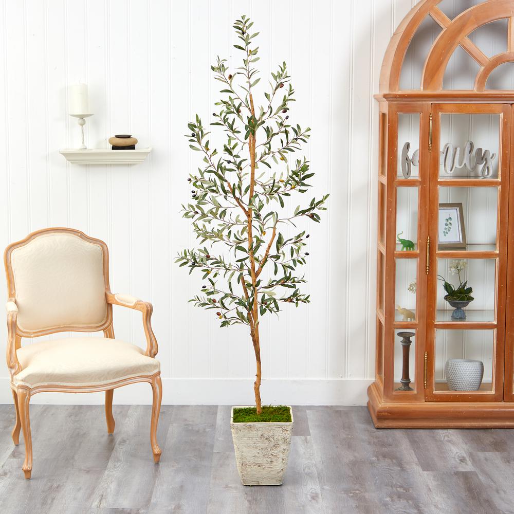 70in. Olive Artificial Tree in Country White Planter. Picture 3