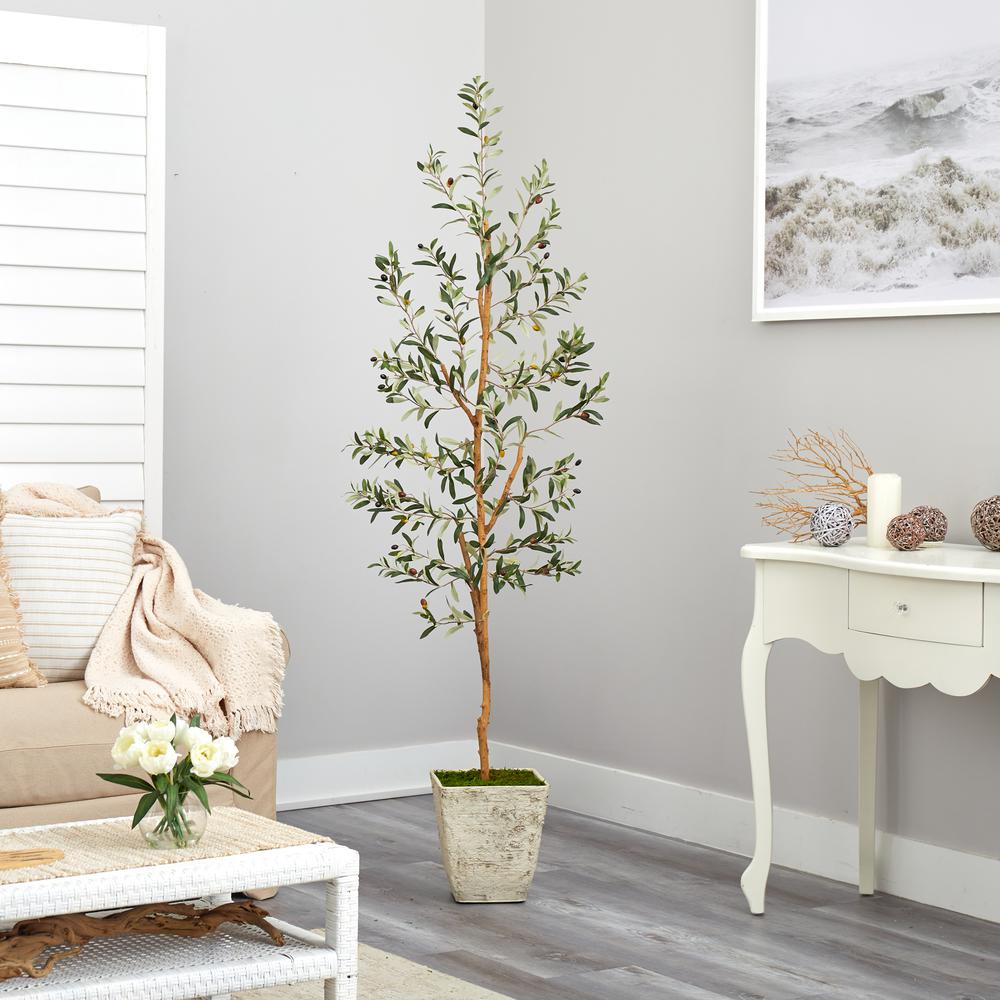 70in. Olive Artificial Tree in Country White Planter. Picture 4