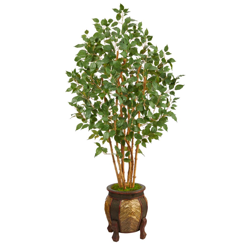 5.5ft. Ficus Bushy Artificial Tree in Decorative Planter. Picture 1
