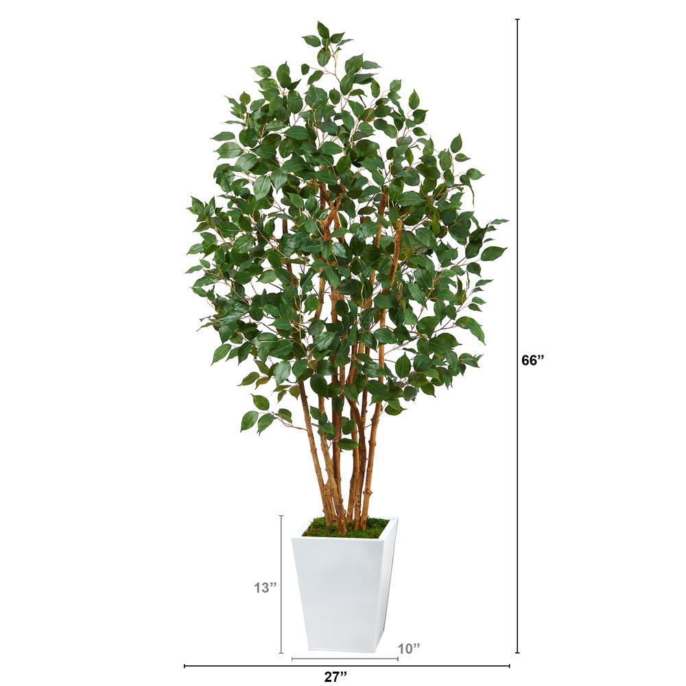 5.5ft. Ficus Bushy Artificial Tree in White Metal Planter. Picture 2