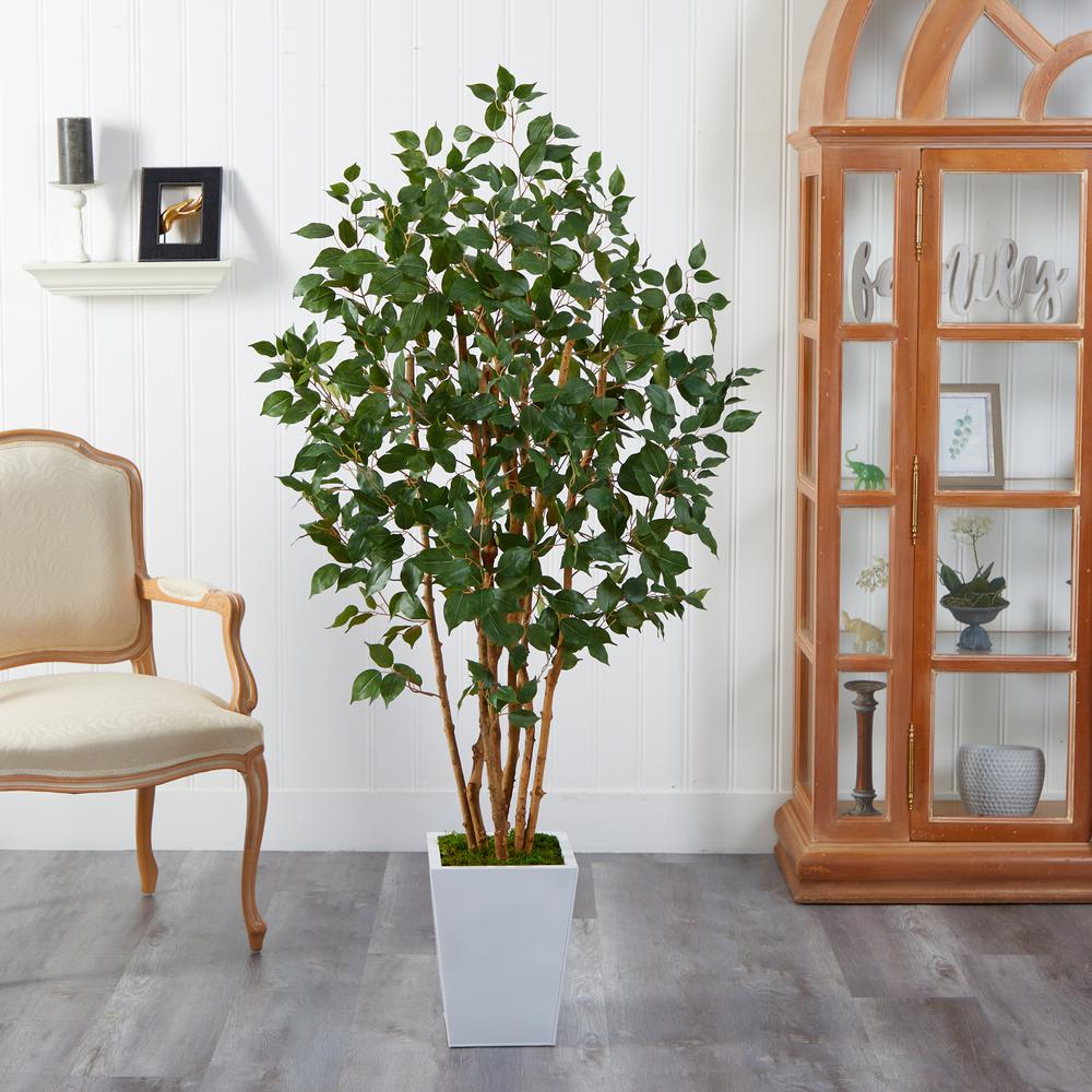 5.5ft. Ficus Bushy Artificial Tree in White Metal Planter. Picture 4