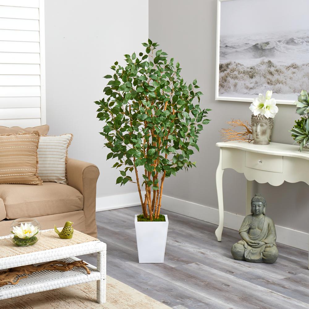 5.5ft. Ficus Bushy Artificial Tree in White Metal Planter. Picture 3