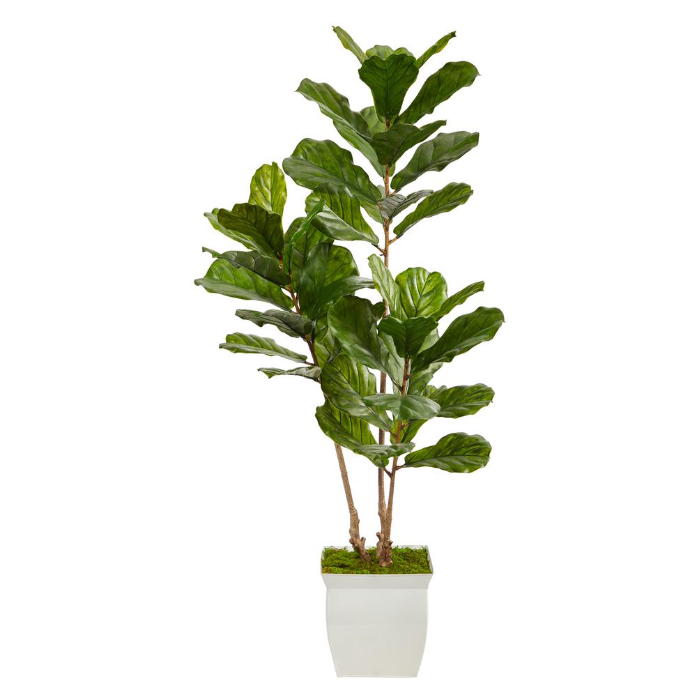 5.5ft. Fiddle Leaf Artificial Tree in White Metal Planter UV Resistant (Indoor/Outdoor). Picture 1