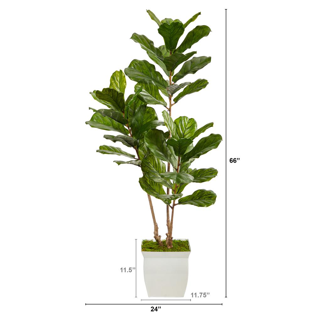 5.5ft. Fiddle Leaf Artificial Tree in White Metal Planter UV Resistant (Indoor/Outdoor). Picture 4
