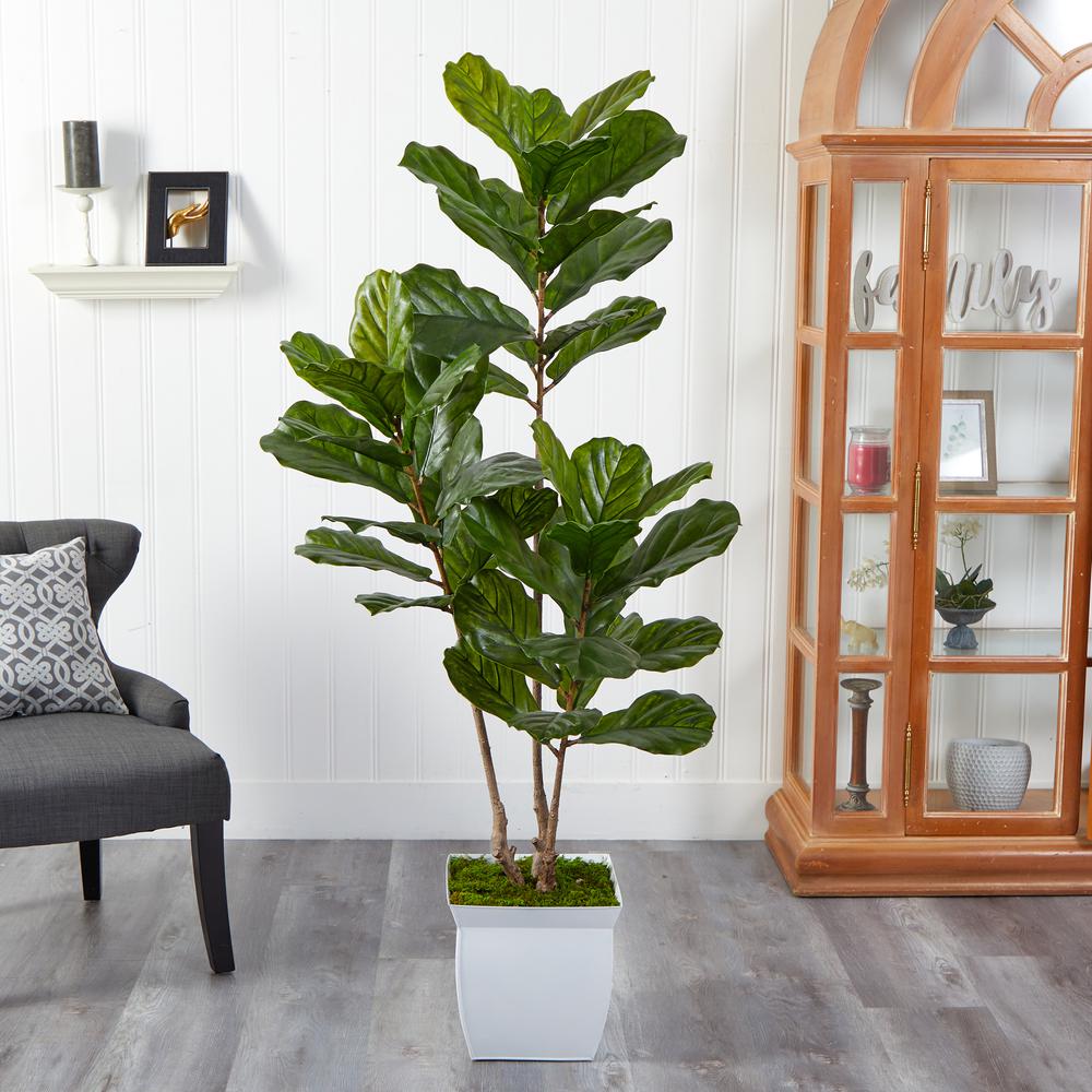 5.5ft. Fiddle Leaf Artificial Tree in White Metal Planter UV Resistant (Indoor/Outdoor). Picture 3