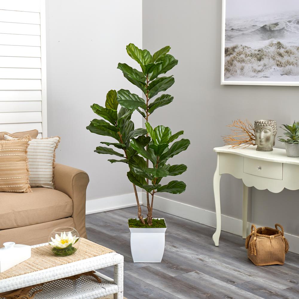 5.5ft. Fiddle Leaf Artificial Tree in White Metal Planter UV Resistant (Indoor/Outdoor). Picture 2