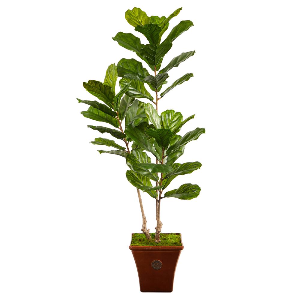5.5ft. Fiddle Leaf Artificial Tree in Brown Planter (Indoor/Outdoor). Picture 1