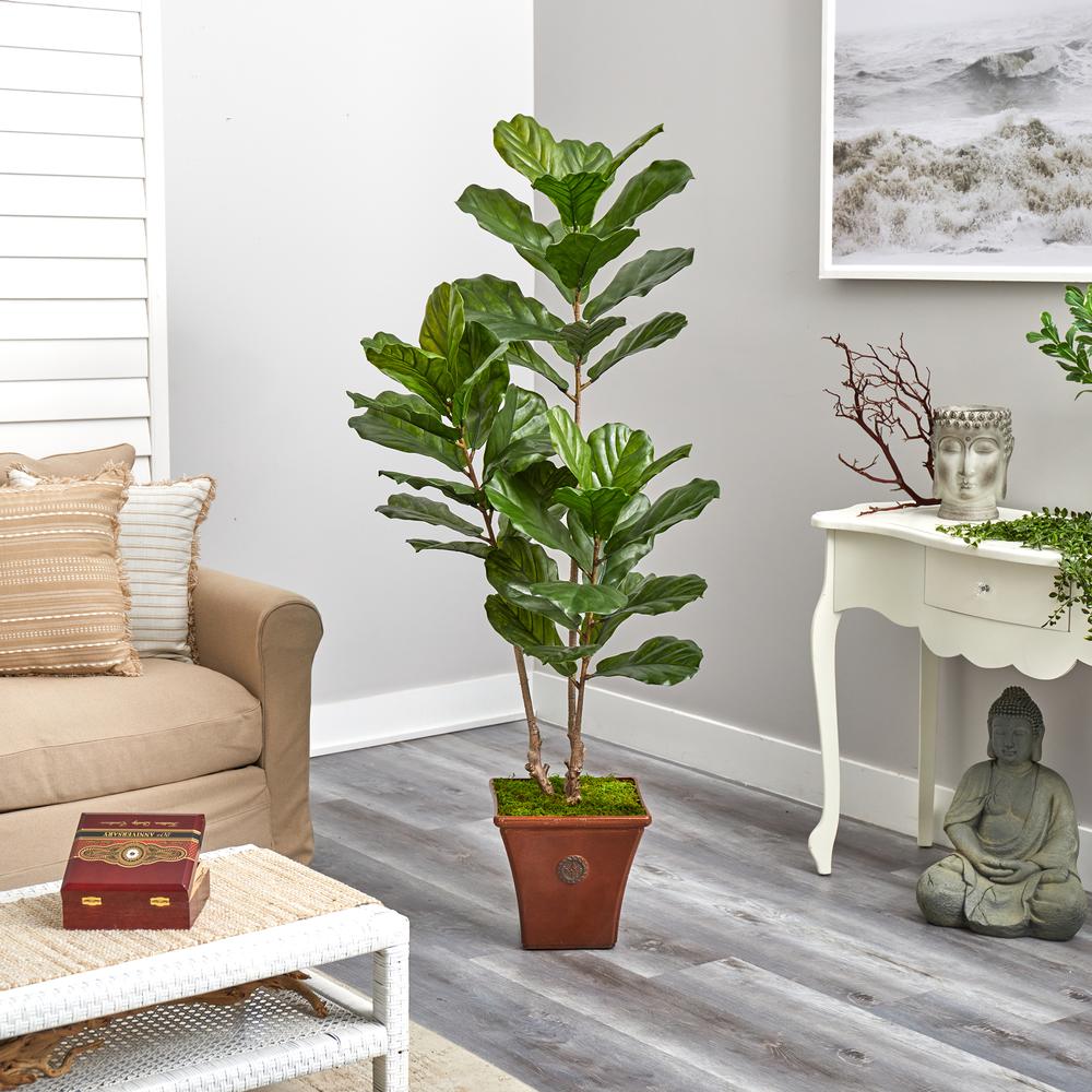 5.5ft. Fiddle Leaf Artificial Tree in Brown Planter (Indoor/Outdoor). Picture 4