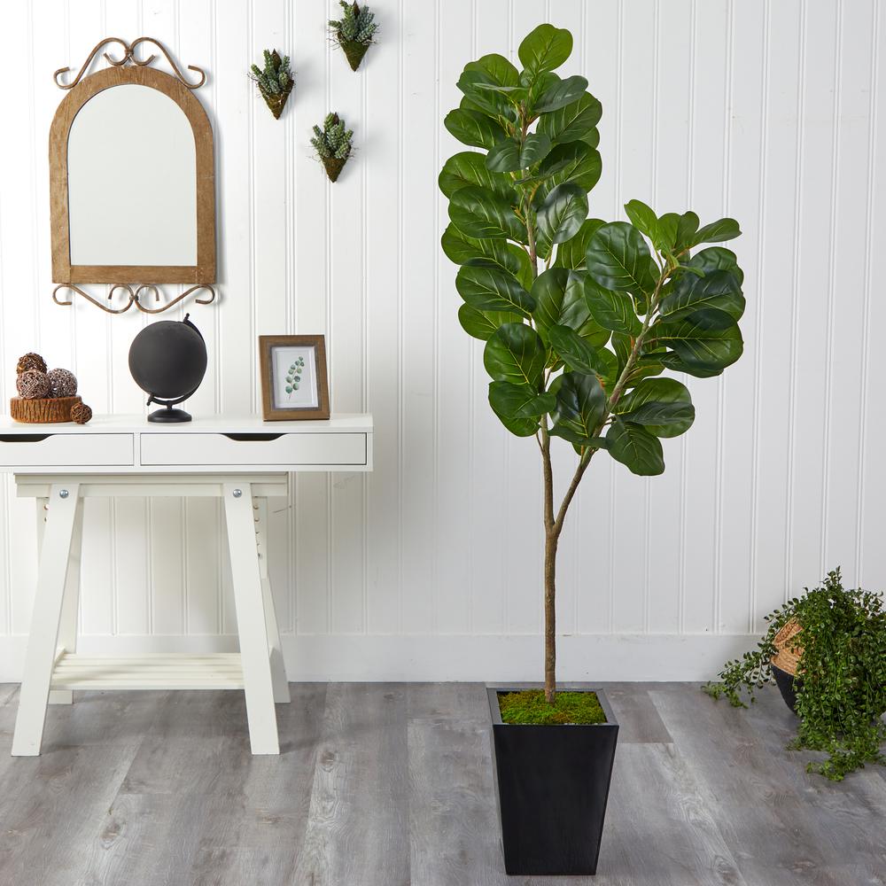 68in. Fiddle leaf Fig Artificial Tree in Black Metal Planter. Picture 2