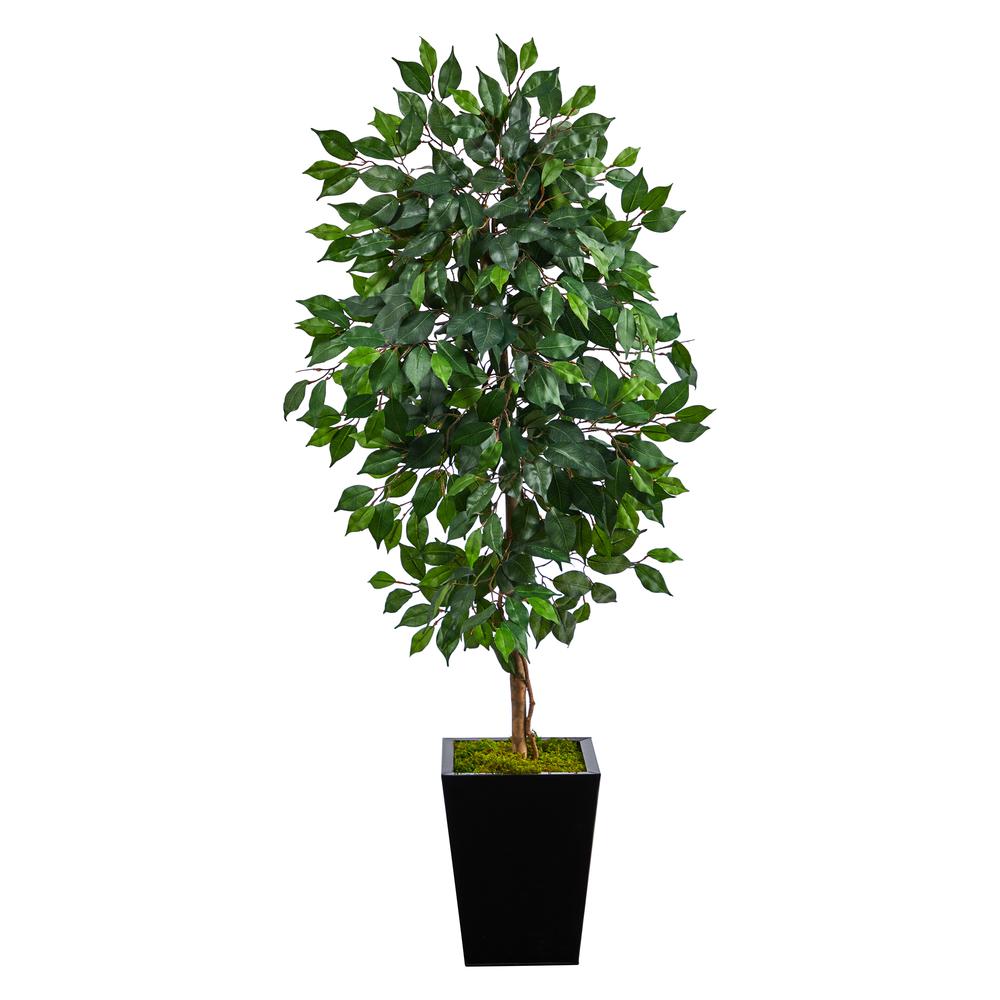 5ft. Ficus Artificial Tree in Black Metal Planter. Picture 1
