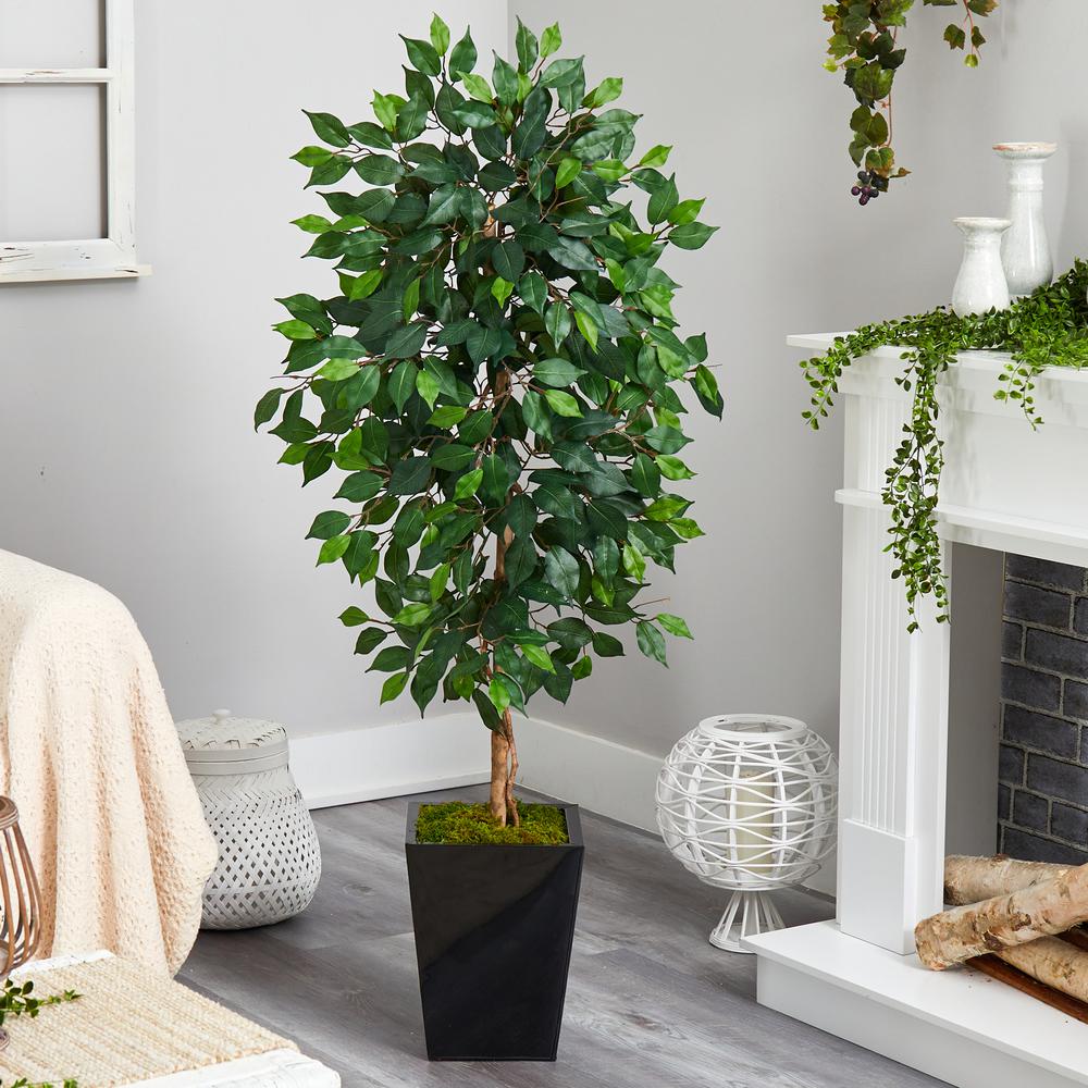 5ft. Ficus Artificial Tree in Black Metal Planter. Picture 4