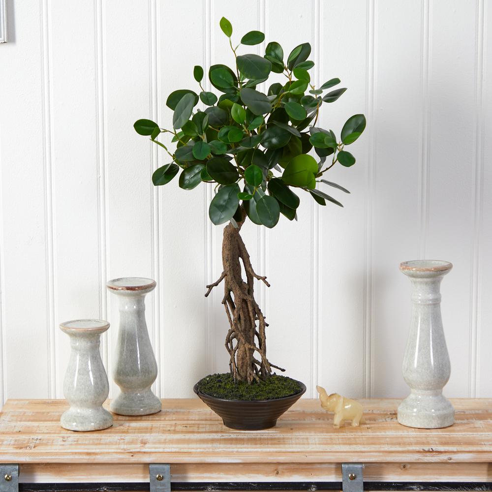 2ft. Ficus Bonsai Artificial Tree in Decorative Planter. Picture 3