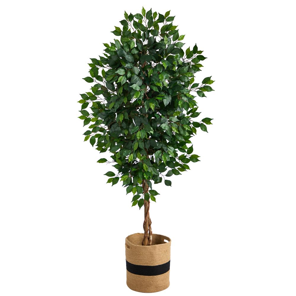 6ft. Ficus Artificial Tree with Natural Trunk in Handmade Natural Cotton Planter. Picture 1