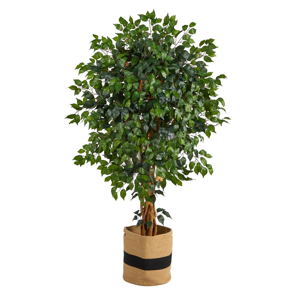 5.5ft. Palace Ficus Artificial Tree in Handmade Natural Cotton Planter. Picture 1
