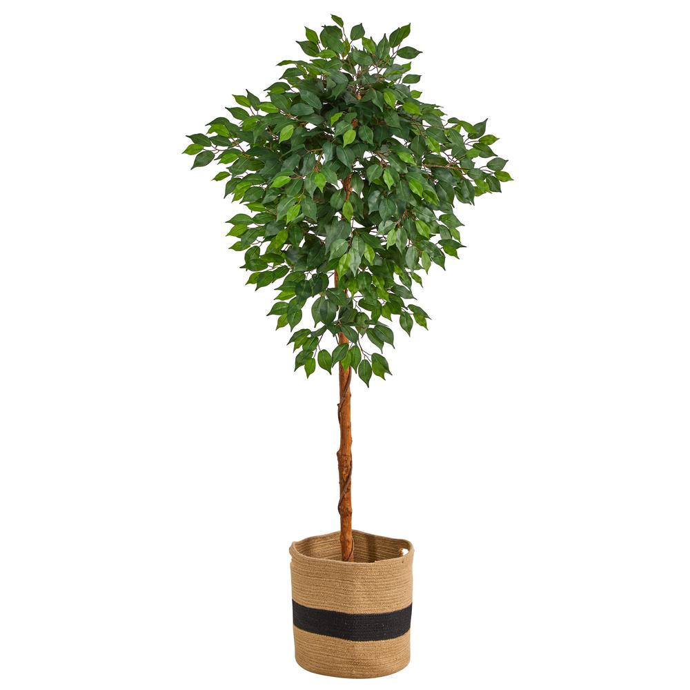 6ft. Artificial Ficus Tree with Handmade Jute & Cotton Basket. Picture 1