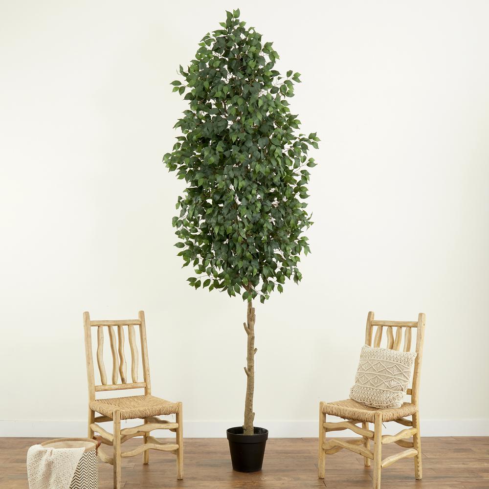 10ft. Artificial Ficus Tree. Picture 4