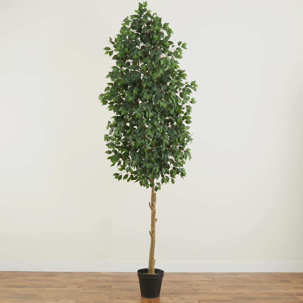 10ft. Artificial Ficus Tree. Picture 5