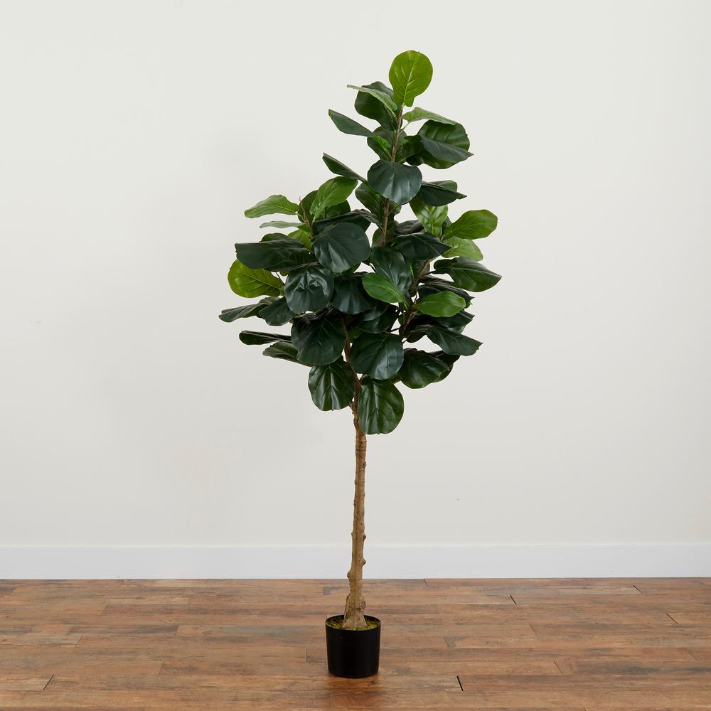 6ft. Artificial Fiddle Leaf Tree. Picture 5