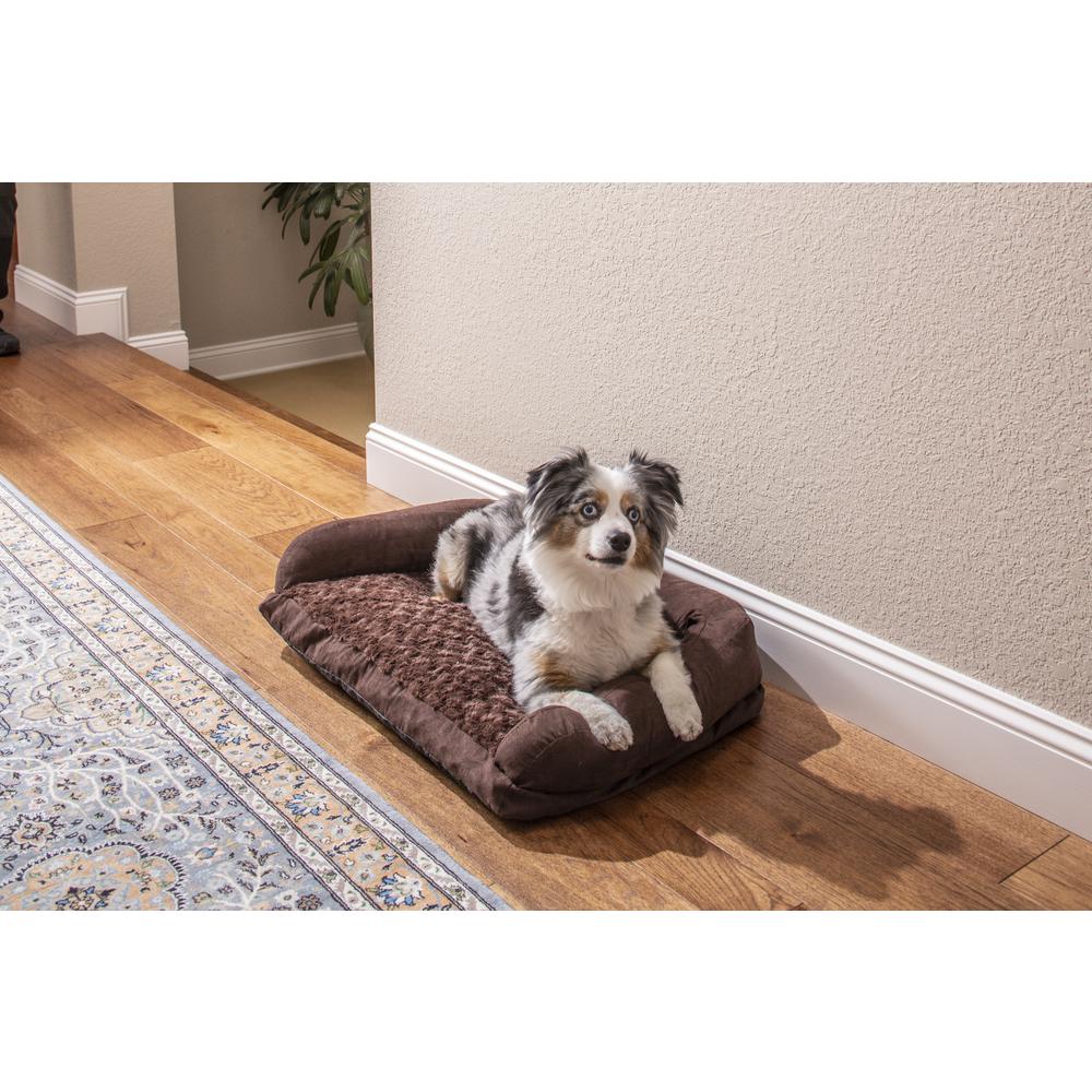 New Age Pet Buddy's Memory Foam Dog Cushion - Medium. Picture 1
