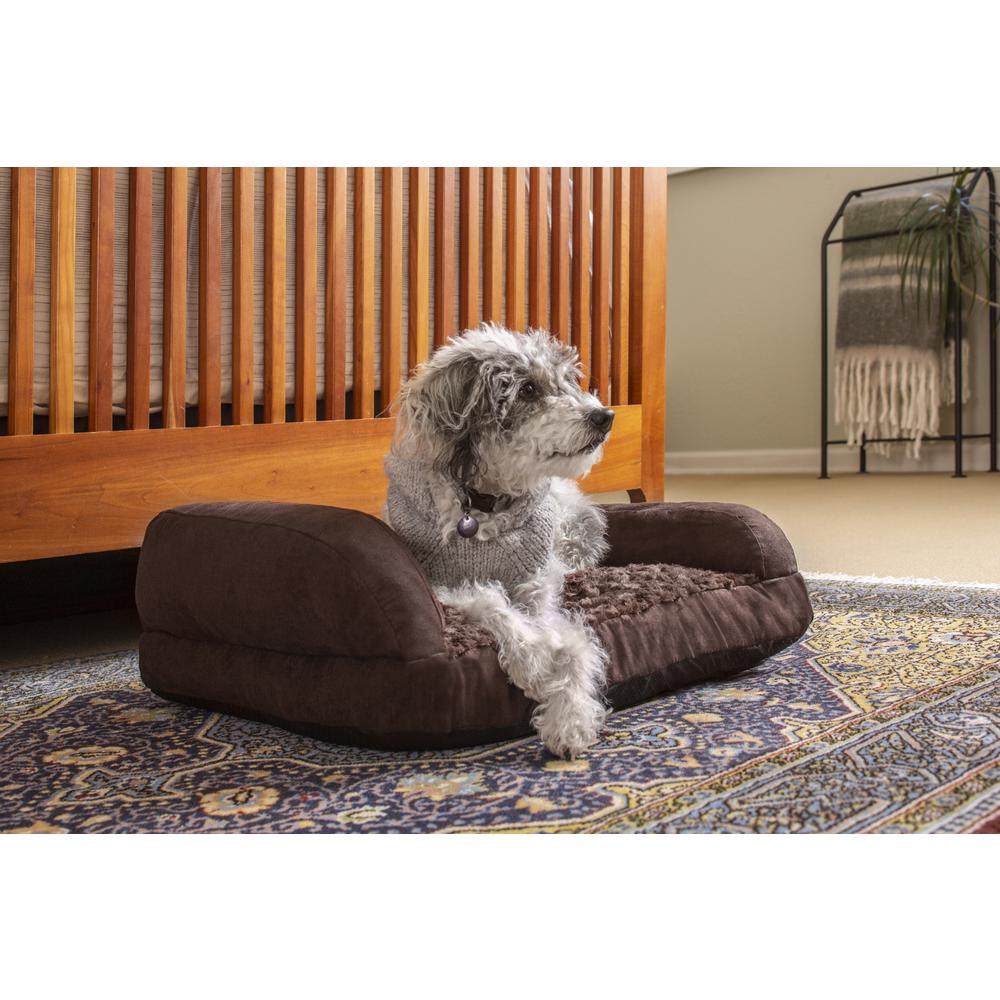 New Age Pet Buddy's Memory Foam Dog Cushion - Small. Picture 1