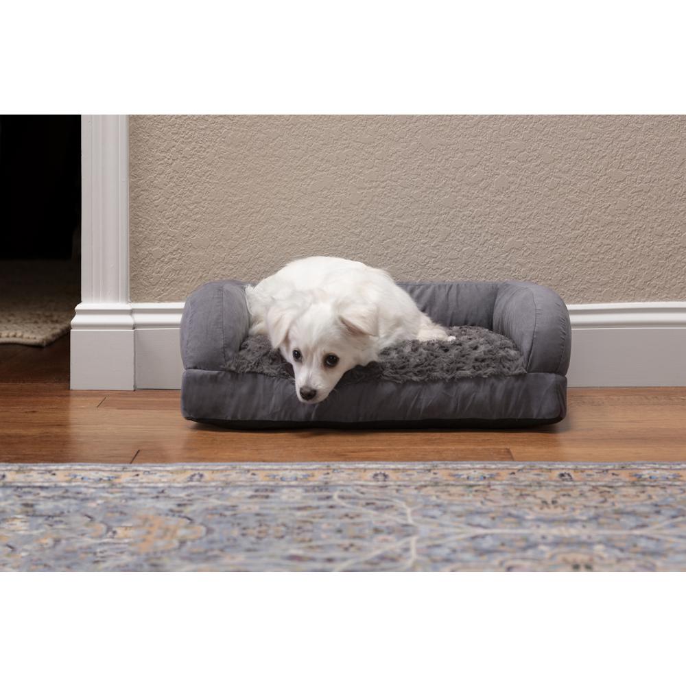 New Age Pet Buddy's Memory Foam Dog Cushion - Small. Picture 1