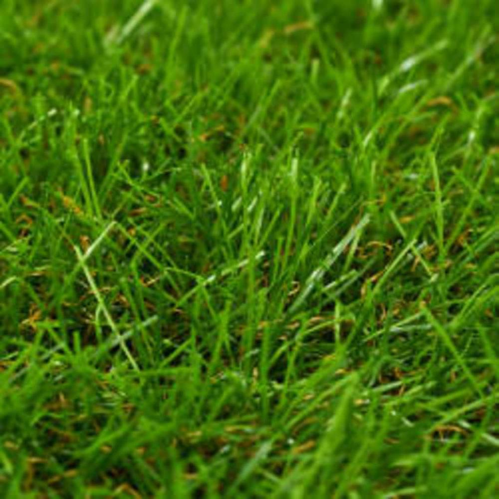 vidaXL Artificial Grass 3.3'x49.2'/0.2" Green 8832. Picture 2