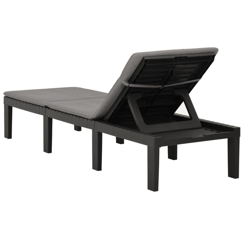 vidaXL Sun Lounger with Cushion Plastic Anthracite. Picture 6