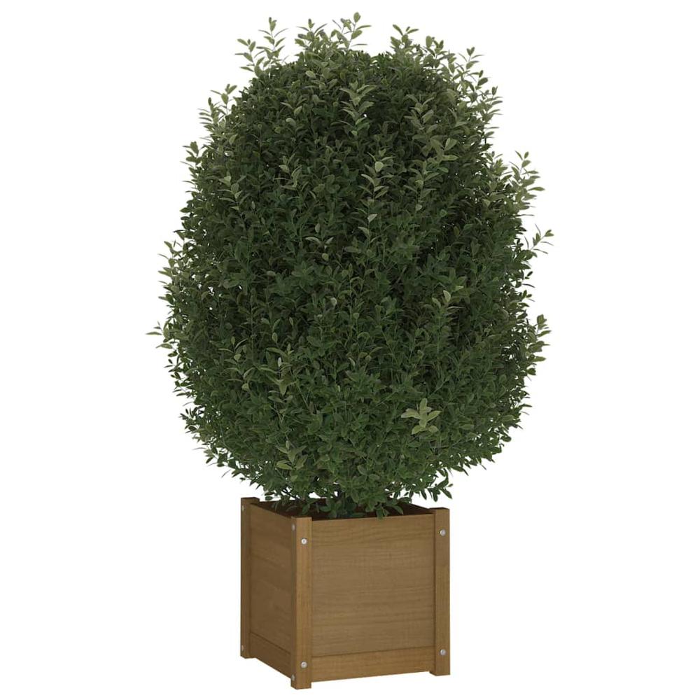 Garden Planter Honey Brown 15.7"x15.7"x15.7" Solid Wood Pine. Picture 2