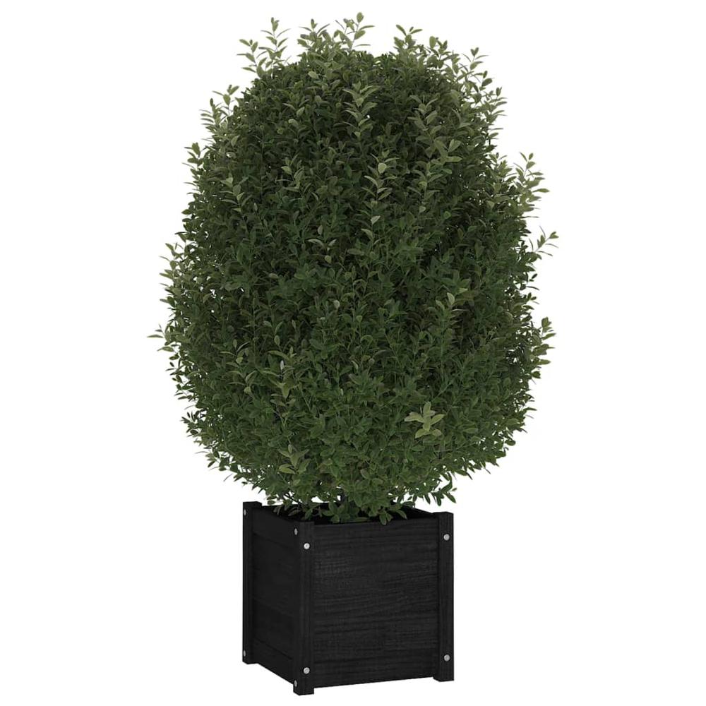 Garden Planter Black 15.7"x15.7"x15.7" Solid Wood Pine. Picture 2