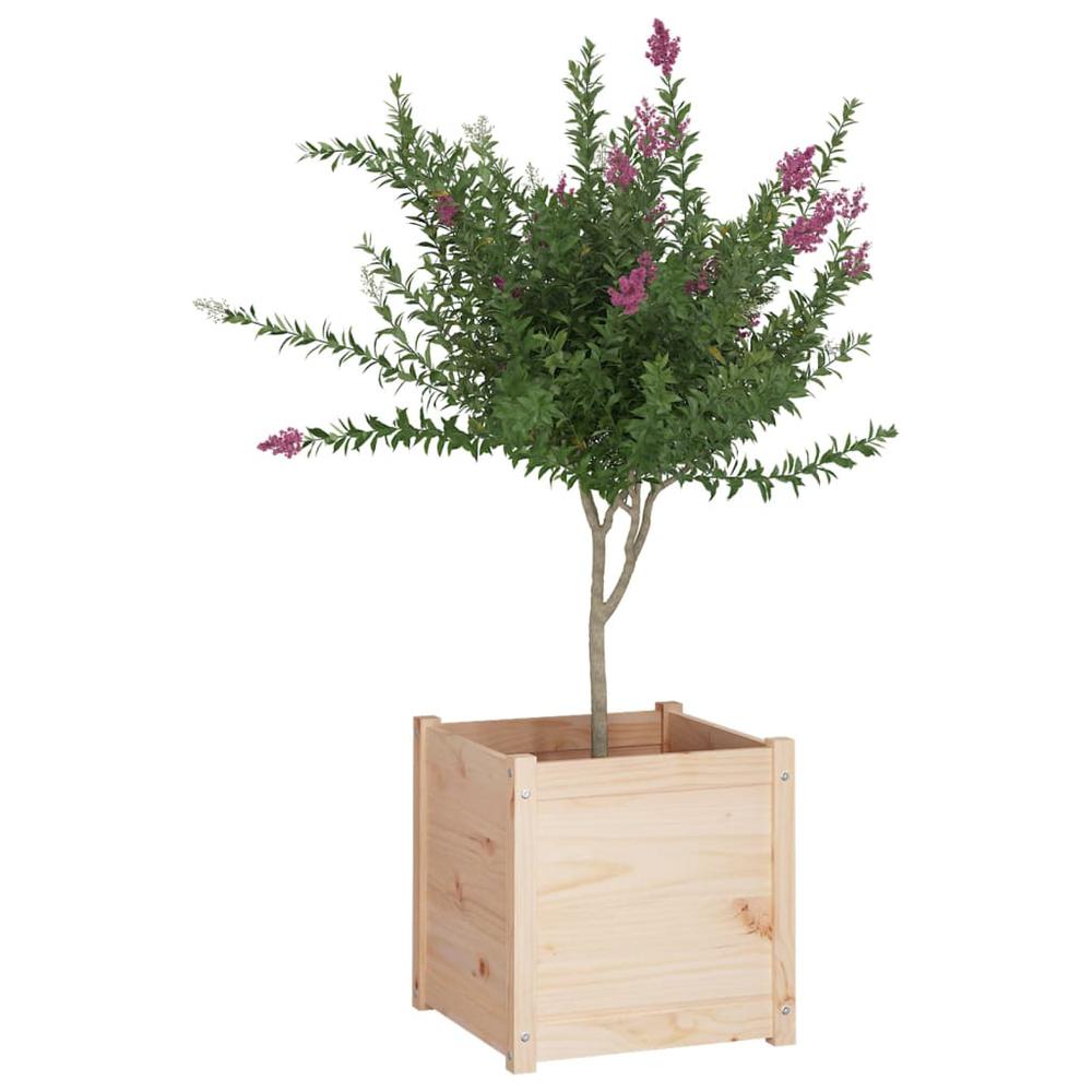 Garden Planter 19.7"x19.7"x19.7" Solid Wood Pine. Picture 5