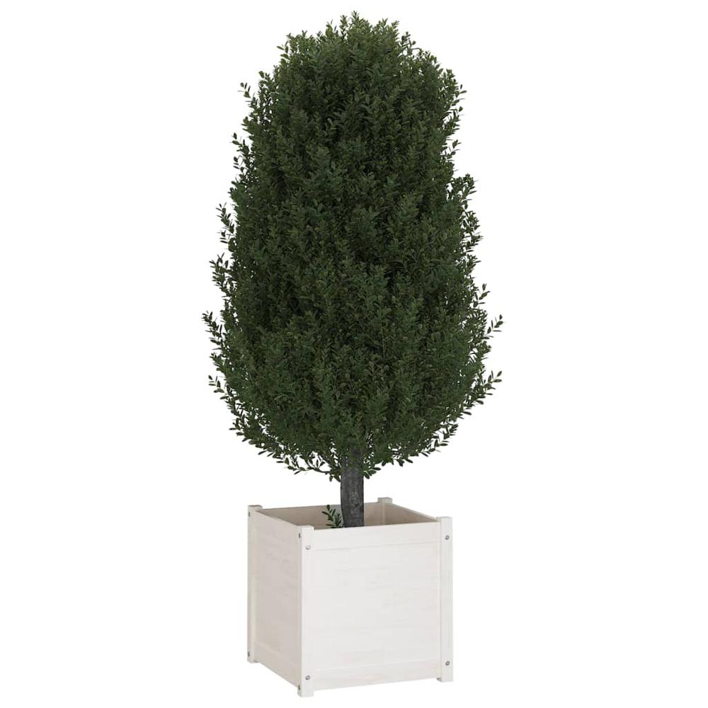 Garden Planters 2 pcs White 19.7"x19.7"x19.7" Solid Wood Pine. Picture 7