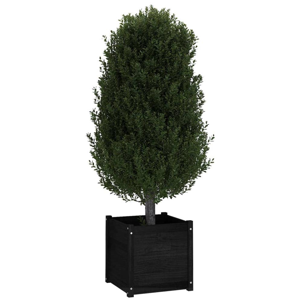 Garden Planters 2 pcs Black 19.7"x19.7"x19.7" Solid Wood Pine. Picture 7