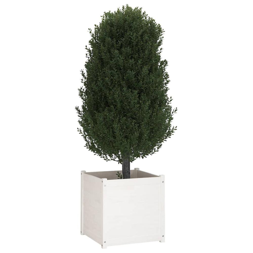 Garden Planters 2 pcs White 23.6"x23.6"x23.6" Solid Wood Pine. Picture 7