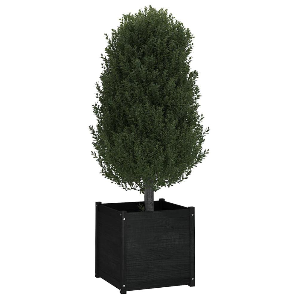 Garden Planters 2 pcs Black 23.6"x23.6"x23.6" Solid Wood Pine. Picture 7