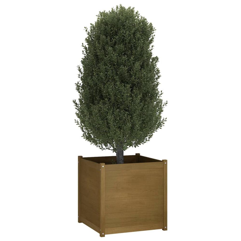 Garden Planter Honey Brown 27.6"x27.6"x27.6" Solid Wood Pine. Picture 6